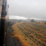 Trip to Tequila