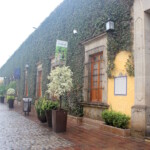 Cuervo Distillerie
